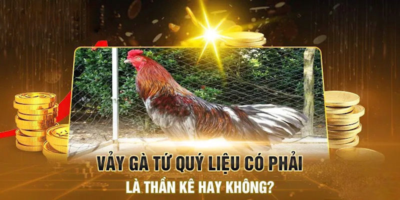 Gà có vảy tứ quý mang giá trị lớn trên thị trường