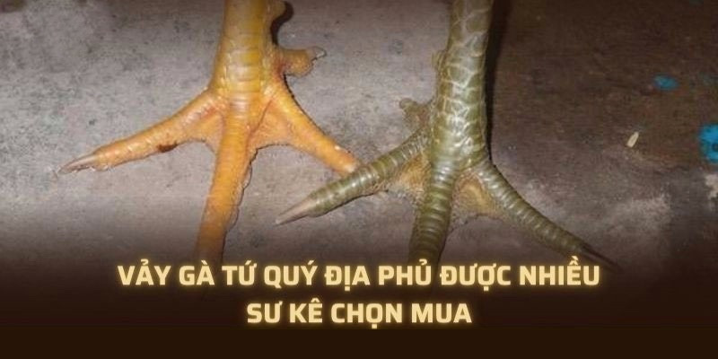 Nhiều sư kê săn đón loại vảy hiếm này trong giới chọi kê